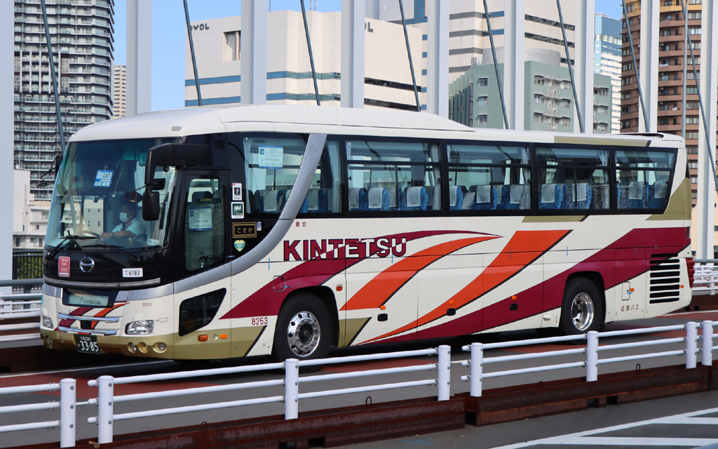 ピスパレ 0298250.ZXEH Littelfuse 車 ヒューズ， 定格電流 250A 定格電圧